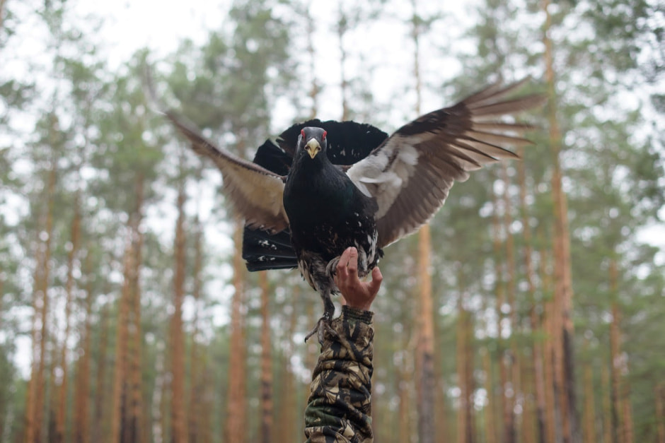 Заказник Выгонощанское 4.jpg