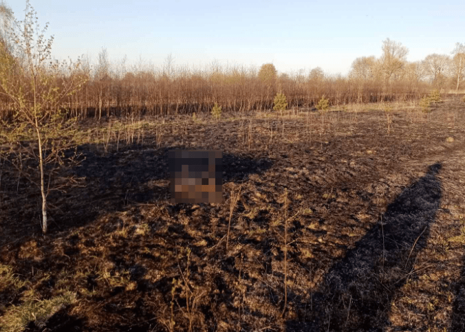 погоиб на пожаре.png