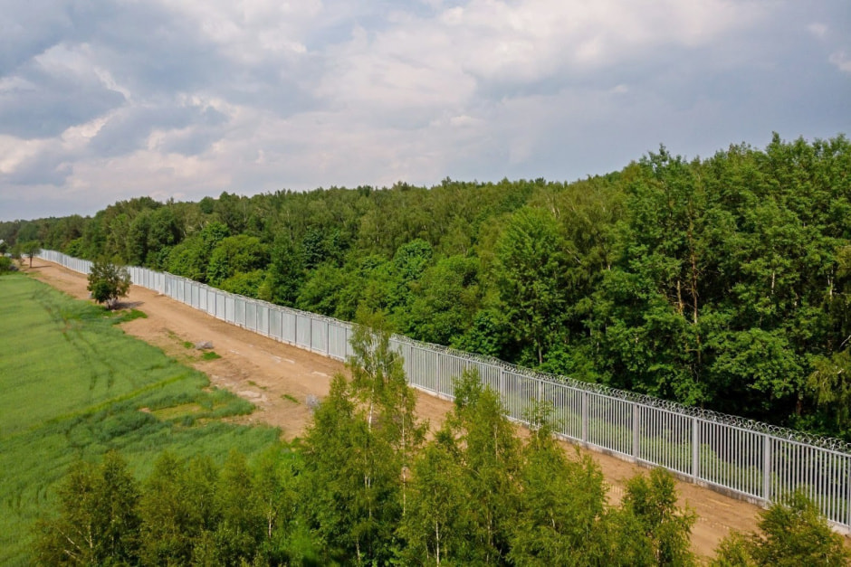 Забор в Беловежской пуще 11.jpg