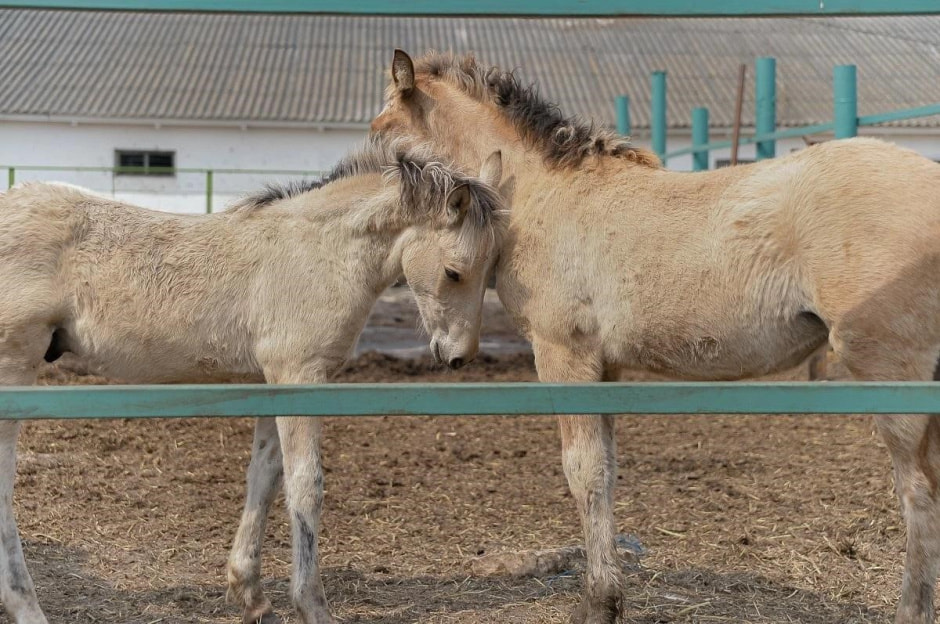 Смартпресс командировки 4.jpg