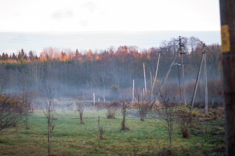 Агроусадьба Сосновый Бор 16.jpg