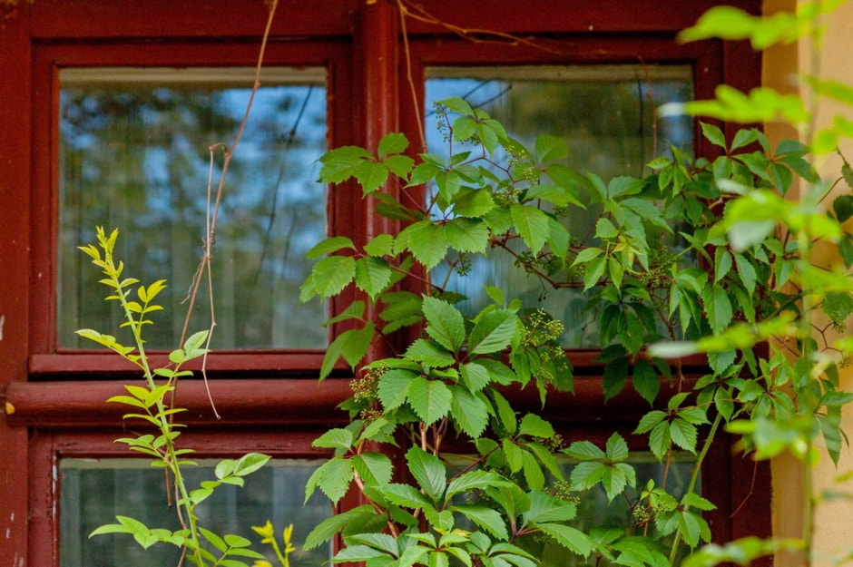 Репортаж из минской Осмоловки 29.jpg