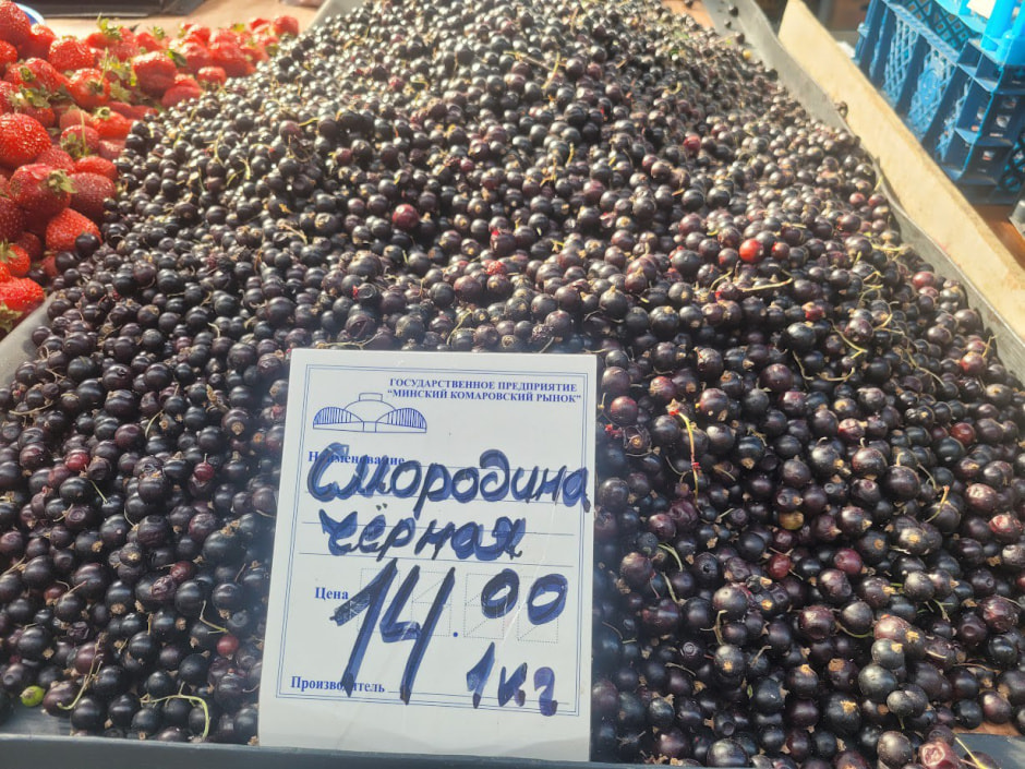 Смородина на Комаровке