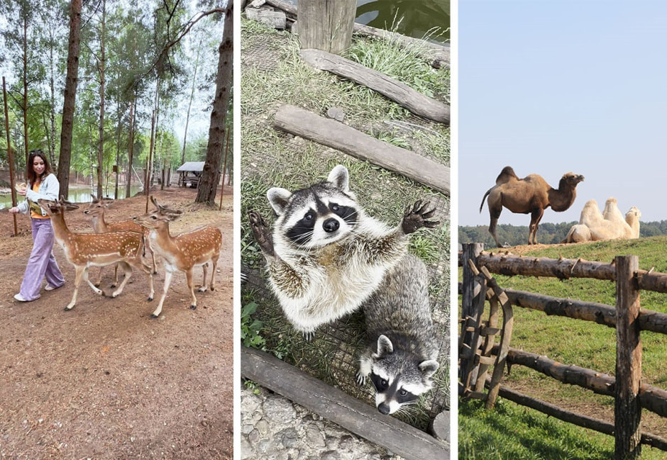 Блогеры-путешественники Беларусь 360 9.jpg