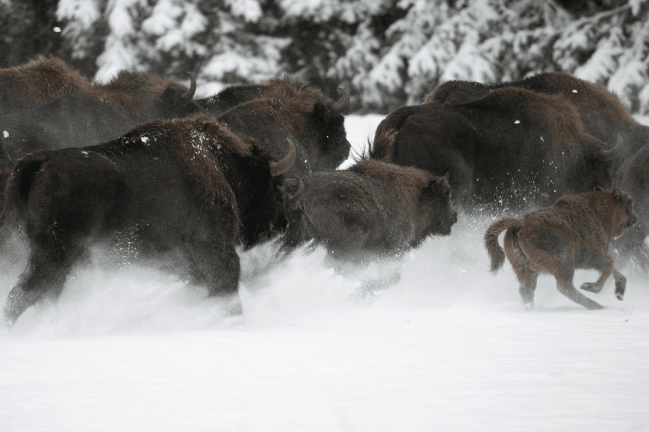 Сергей Плыткевич и его фото 5.png