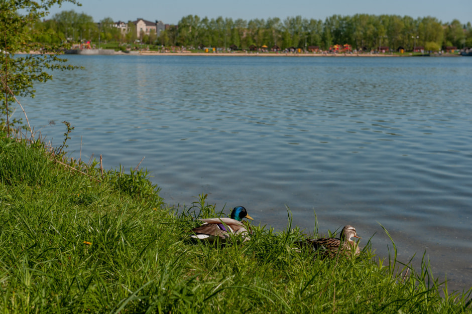 Будет ли жарким июль в Беларуси, рассказал синоптик Рябов.jpg