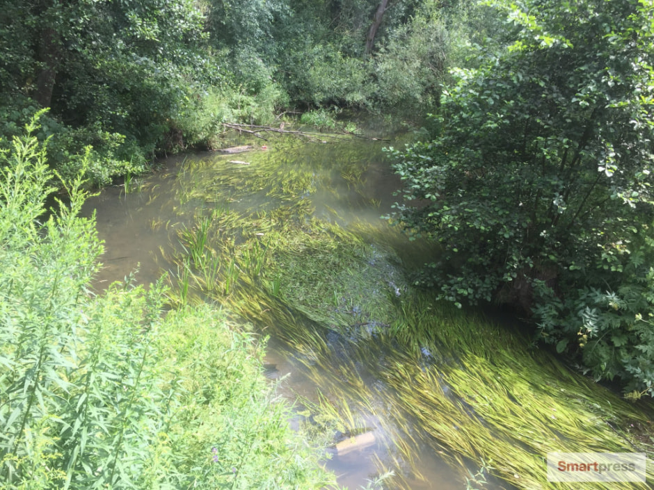 фото22.jpg фото22.jpg