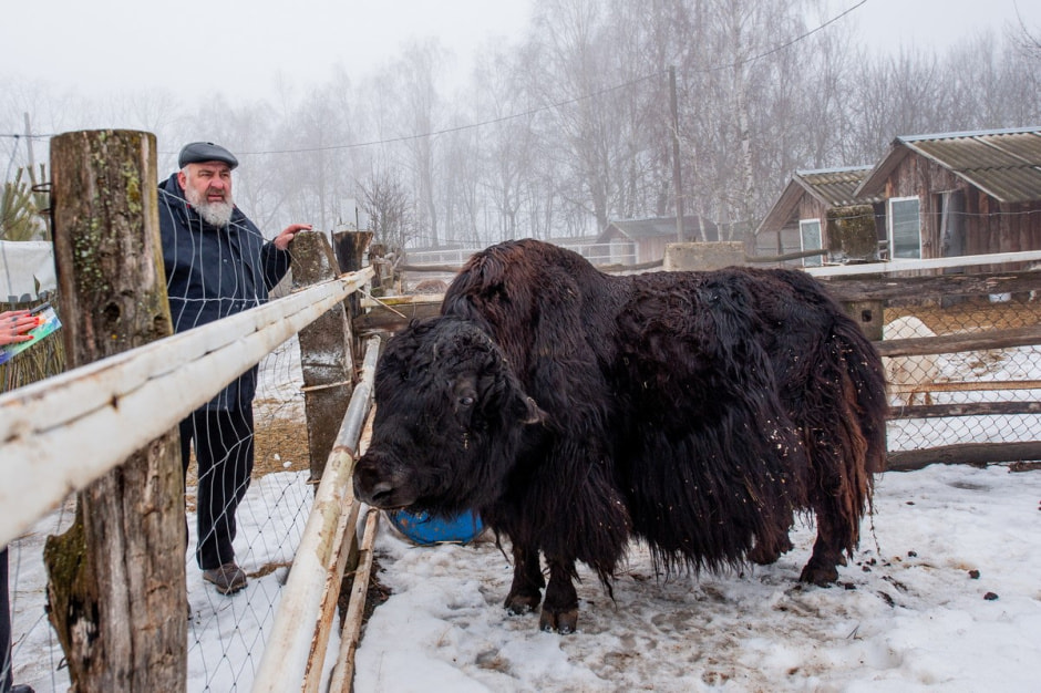 Юрий Карпилович и его зоопарк в Подгае 27.jpg