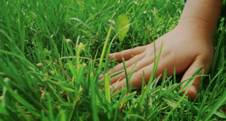 тогать траву.jpg