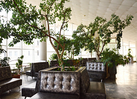 Фойе как зимний сад: почему в советских кинотеатрах уделяли много внимания озеленению? 