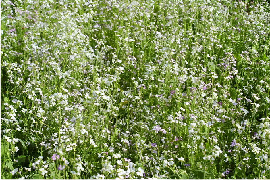 photo_2025-09-11_13-17-13 (3) (1).jpg