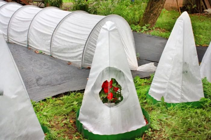 photo_2025-12-07_12-38-37 (3).jpg