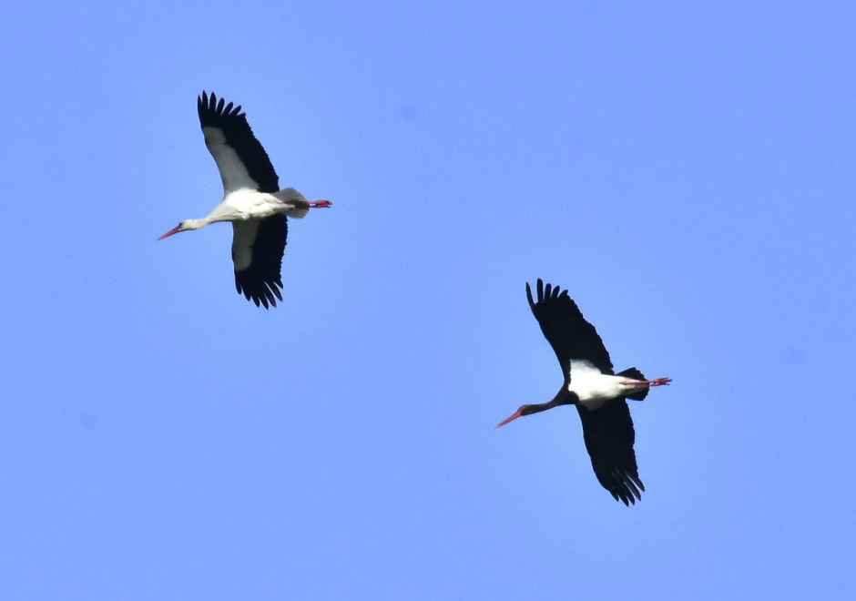 Фотограф-врач Инна Субботина 3.jpeg