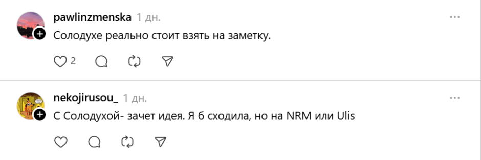 концерт солодухи