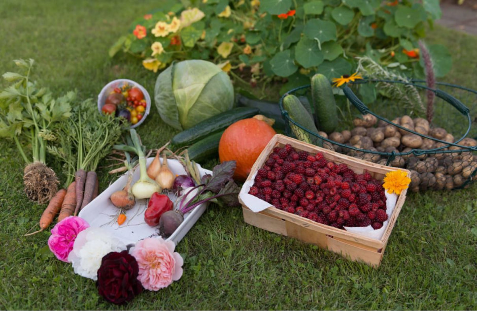 малина овощи