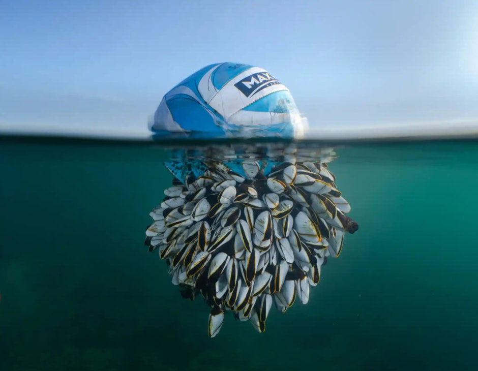 Фотоконкурс .jpg