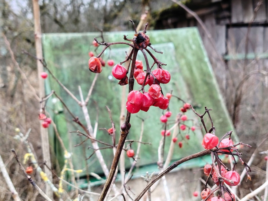 Проводник по болоту Кася 6.jpg