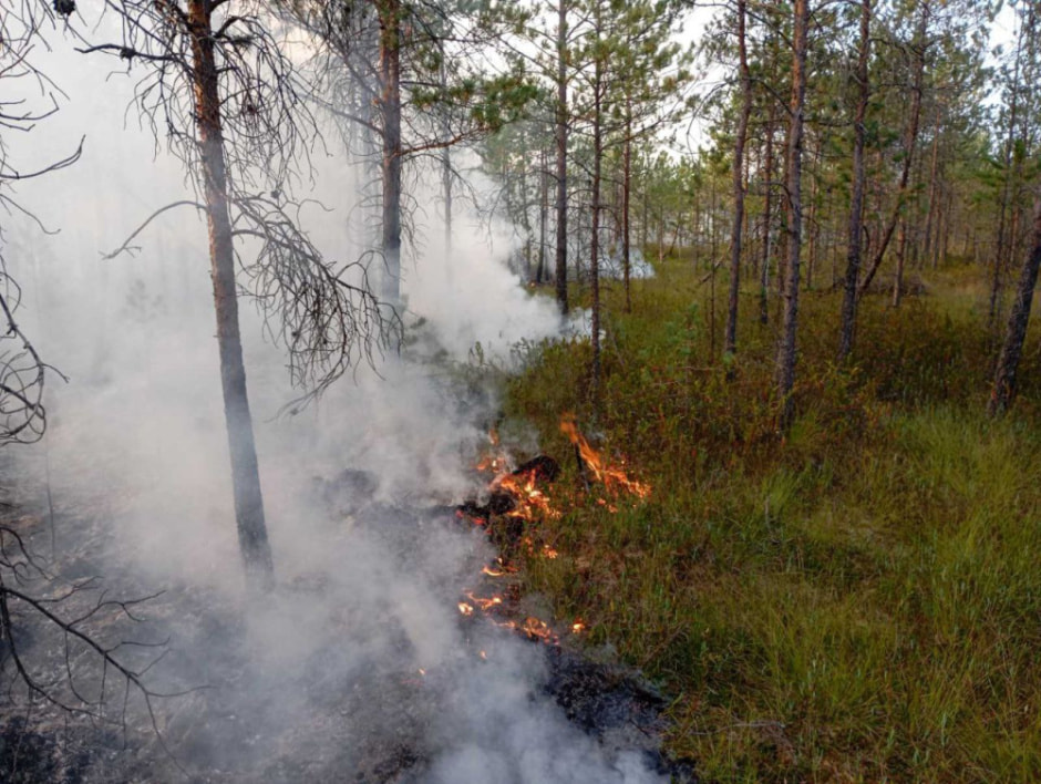 пожар1.jpg пожар1.jpg