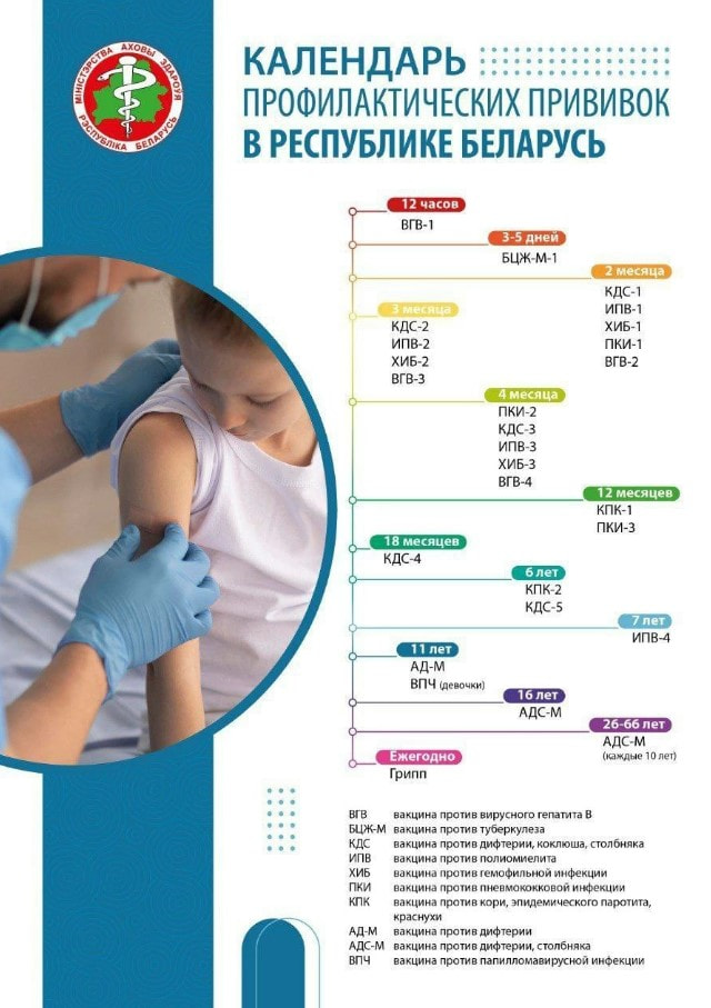 Календарь прививок.jpg
