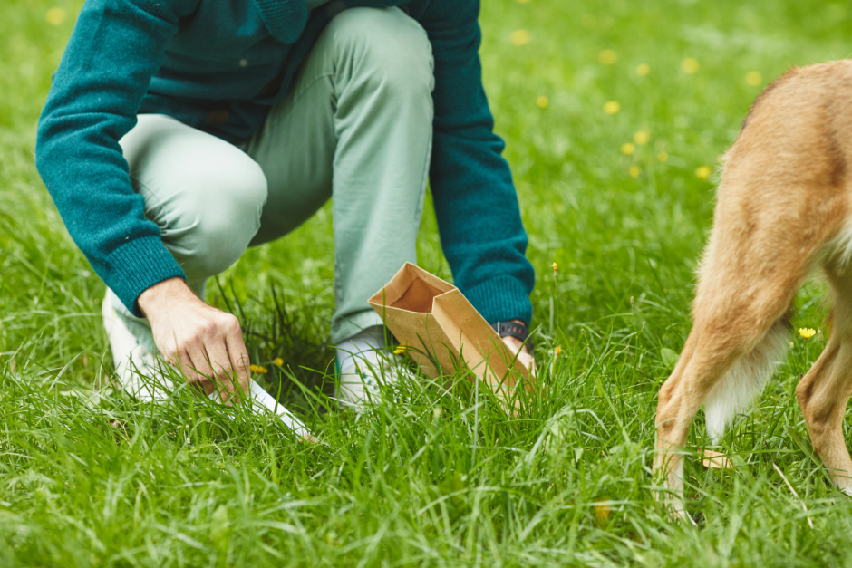 уборка за собакой.png