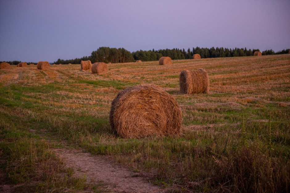 11-По пути к заброшенному карьеру в Воложинском районе.jpg