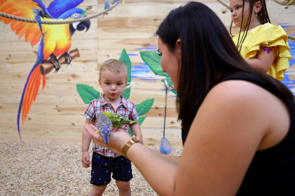 Попугайня в Витебске 16.jpg