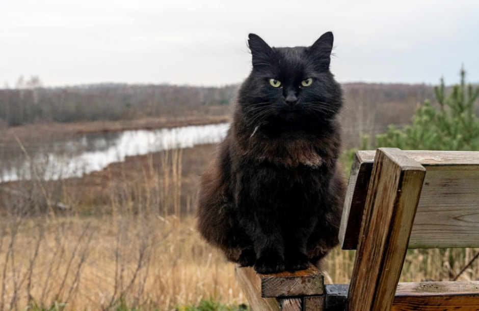 Девушка и деревенская хата в Ягодках 26.jpg