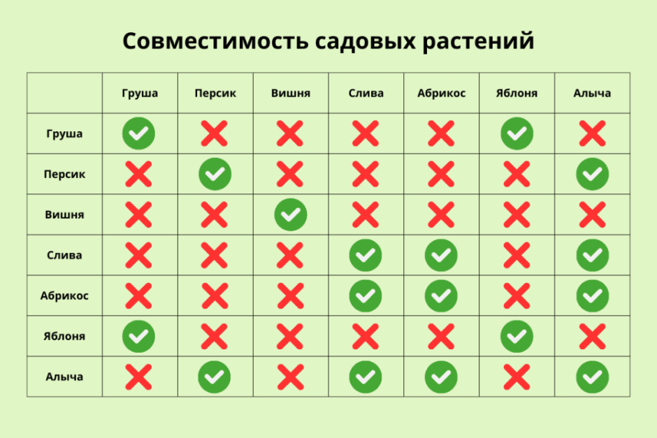 Как подготовить ямки для саженцев 3.png