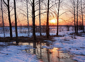 Первые ласточки тепла: где в Беларуси 5 марта будет почти весенний +10°С?
