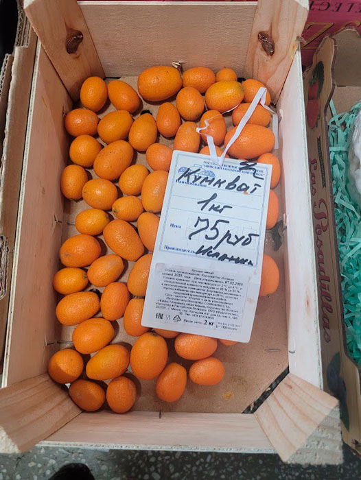 комаровка_март16.jpg комаровка_март16.jpg