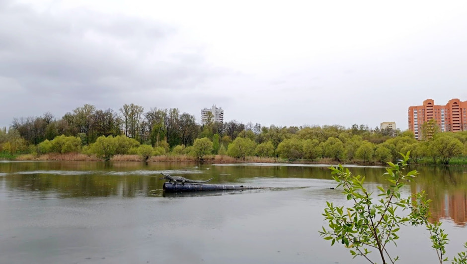 Топ-5 экотроп Минска 16_Дубки.jpg Топ-5 экотроп Минска 16_Дубки.jpg