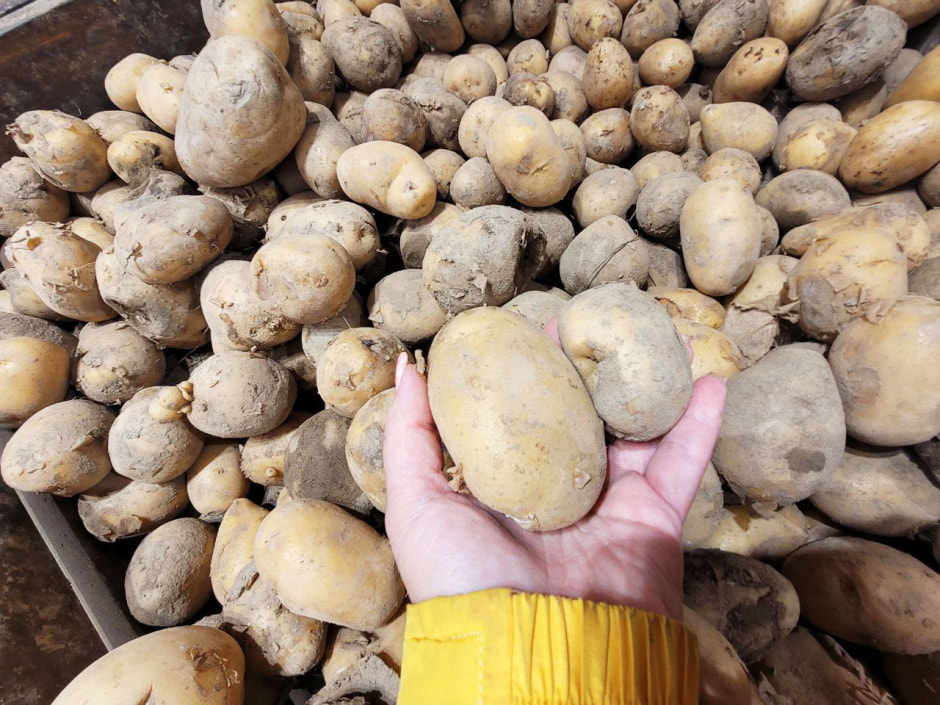 картофель в магазине green2.jpg