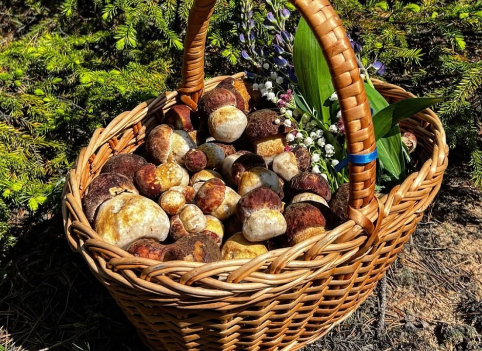 Грибы в корзинке 3-Грибы в корзинке.jpg