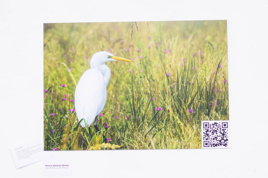 Посетители на выставке птиц 6.jpg