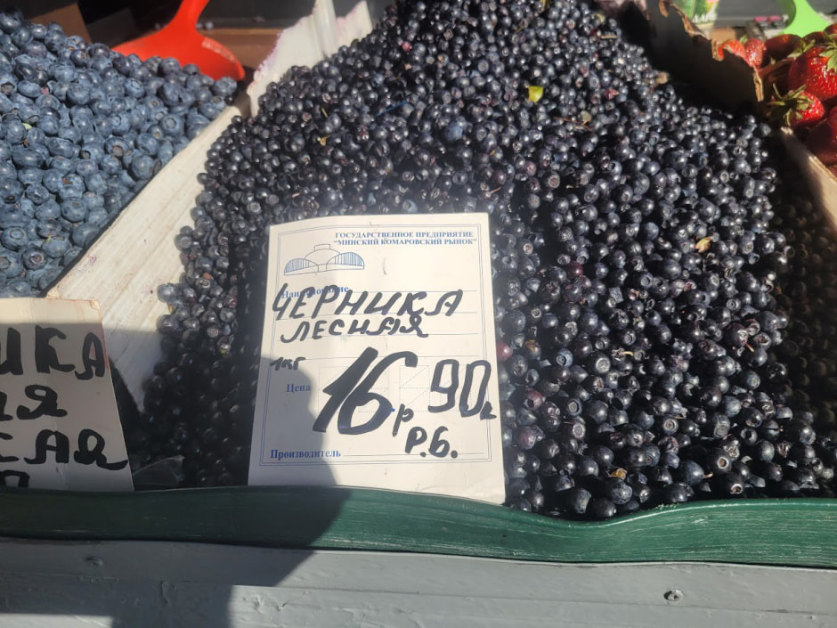 Черника на Комаровке