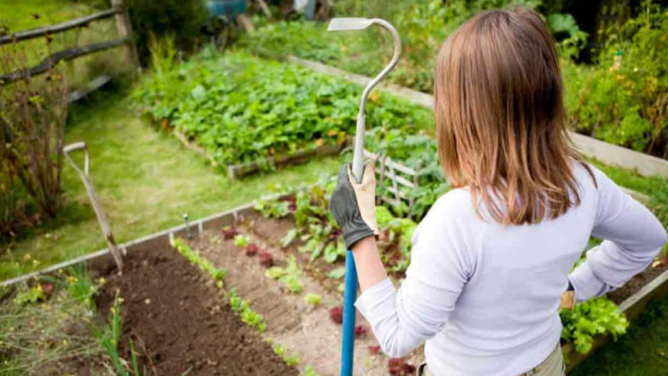 Работа на даче весной