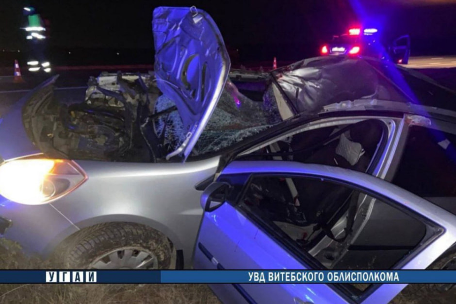 дтп с лосем 2.jpg