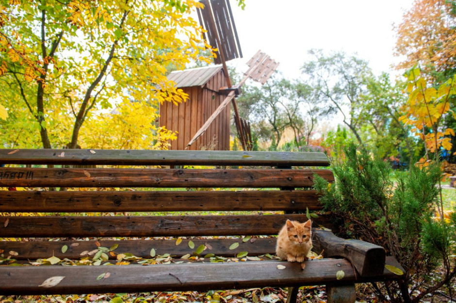 Без осадков и до +25°С будет в Беларуси 21 сентября — сохраняется красный уровень опасности.jpg Без осадков и до +25°С будет в Беларуси 21 сентября — сохраняется красный уровень опасности.jpg