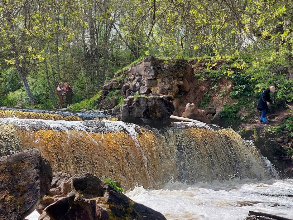 Поход на Ельню 3.jpg