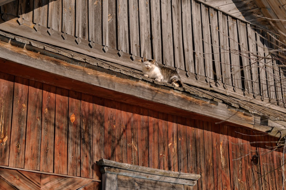 Возрождение деревни Косаричи 31.jpg