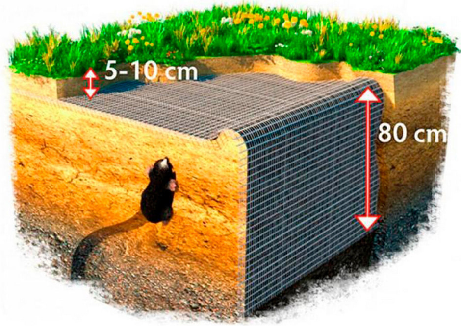сетка_от_кротов3.jpg сетка_от_кротов3.jpg