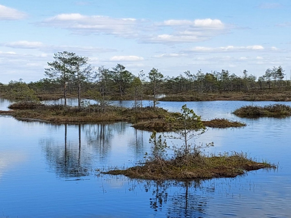 Поход на Ельню 2.jpg