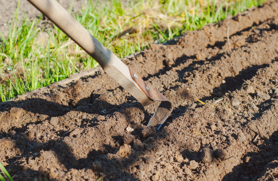 Садоводы-аллергики 6.jpg