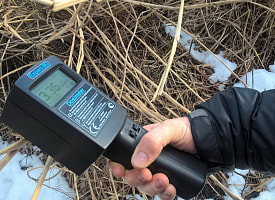 Что с радиацией в Гомельской области после отключения на ЧАЭС? Белгидромет рассказал