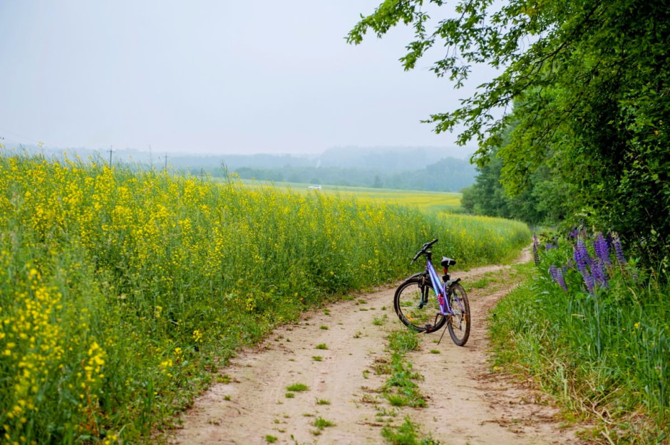Что нужно успеть сделать в августе с деревне 5.jpg