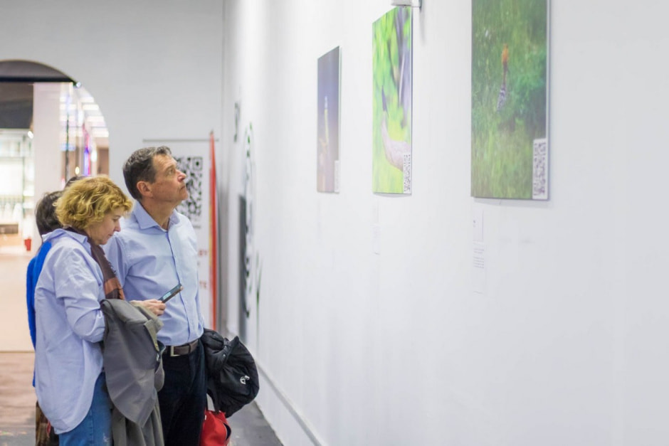 Посетители на выставке птиц 7.jpg