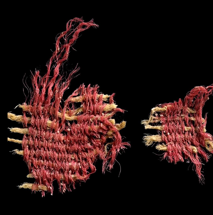 Археологи в 