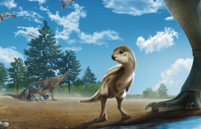 дулизавр 2.jpg