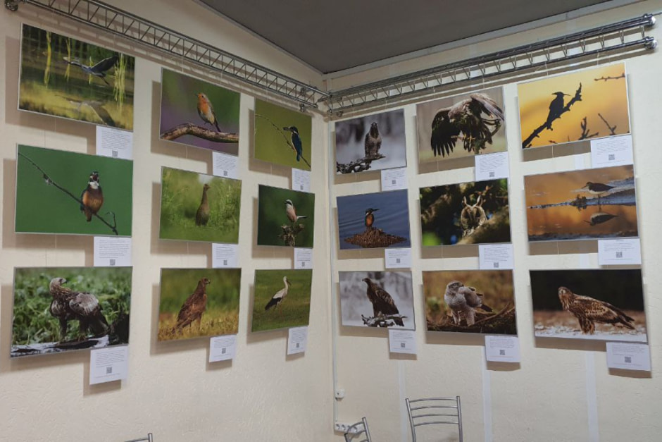 Владимир Пакалевич-фотовыставка_2.jpg