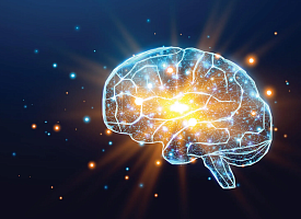 Всего 5 недель тренировки мозга снижают риск деменции на 25% — эффект сохраняется 20 лет